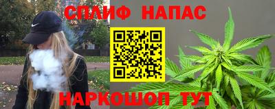 гидра Моздок