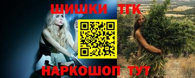 гидра Моздок