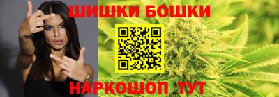 индика Можайск